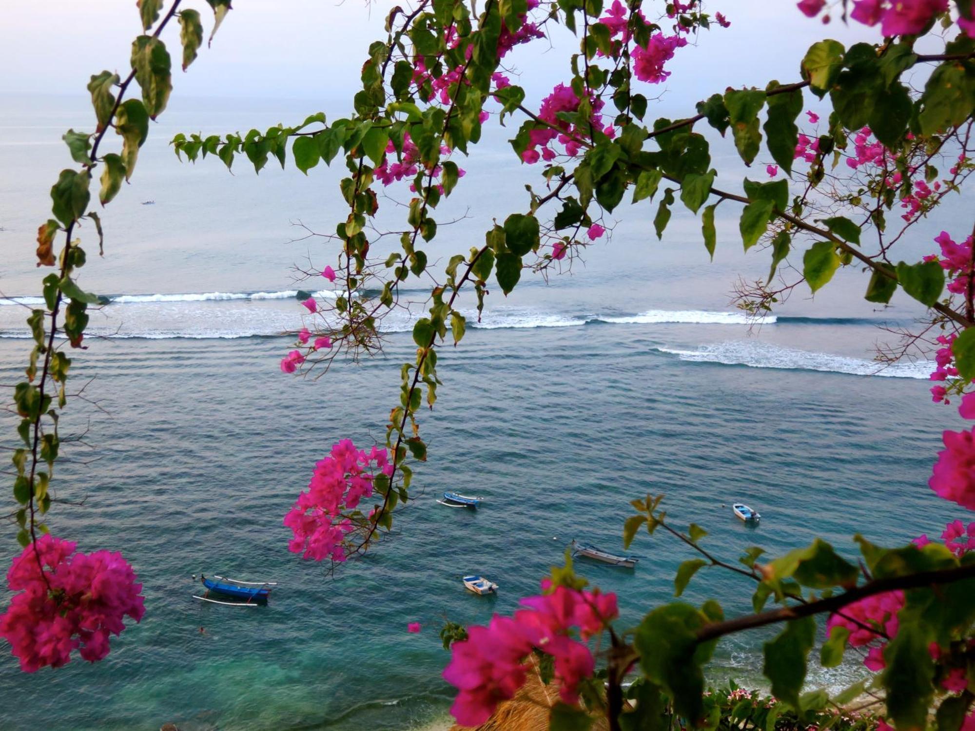 Acacia Bungalows Bingin Uluwatu Exterior foto